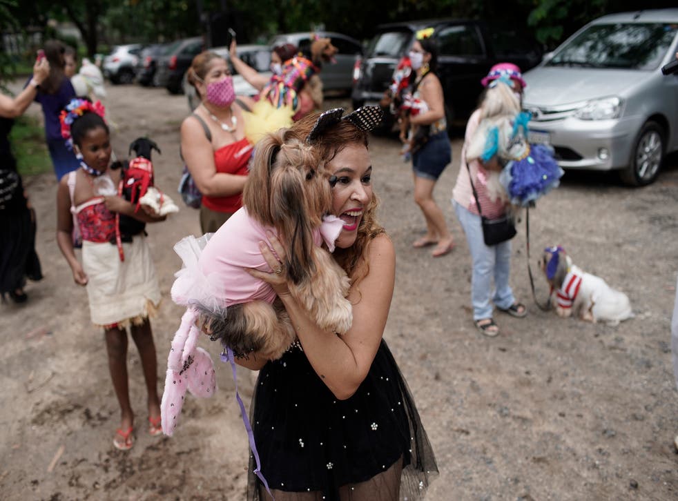 Human Festivities Scrapped Rio S Carnival Goes To The Dogs Parade Dogs Dogs Dogs Festivities The Independent Human Festivities Scrapped Rio S Carnival Goes To The Dogs Parade Dogs Dogs Dogs Festivities The Independent