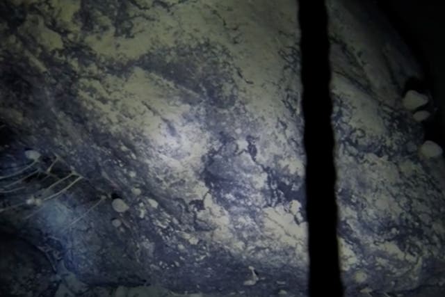 Image taken from video footage at the seafloor beneath the Ronne-Filchner Ice Shelf