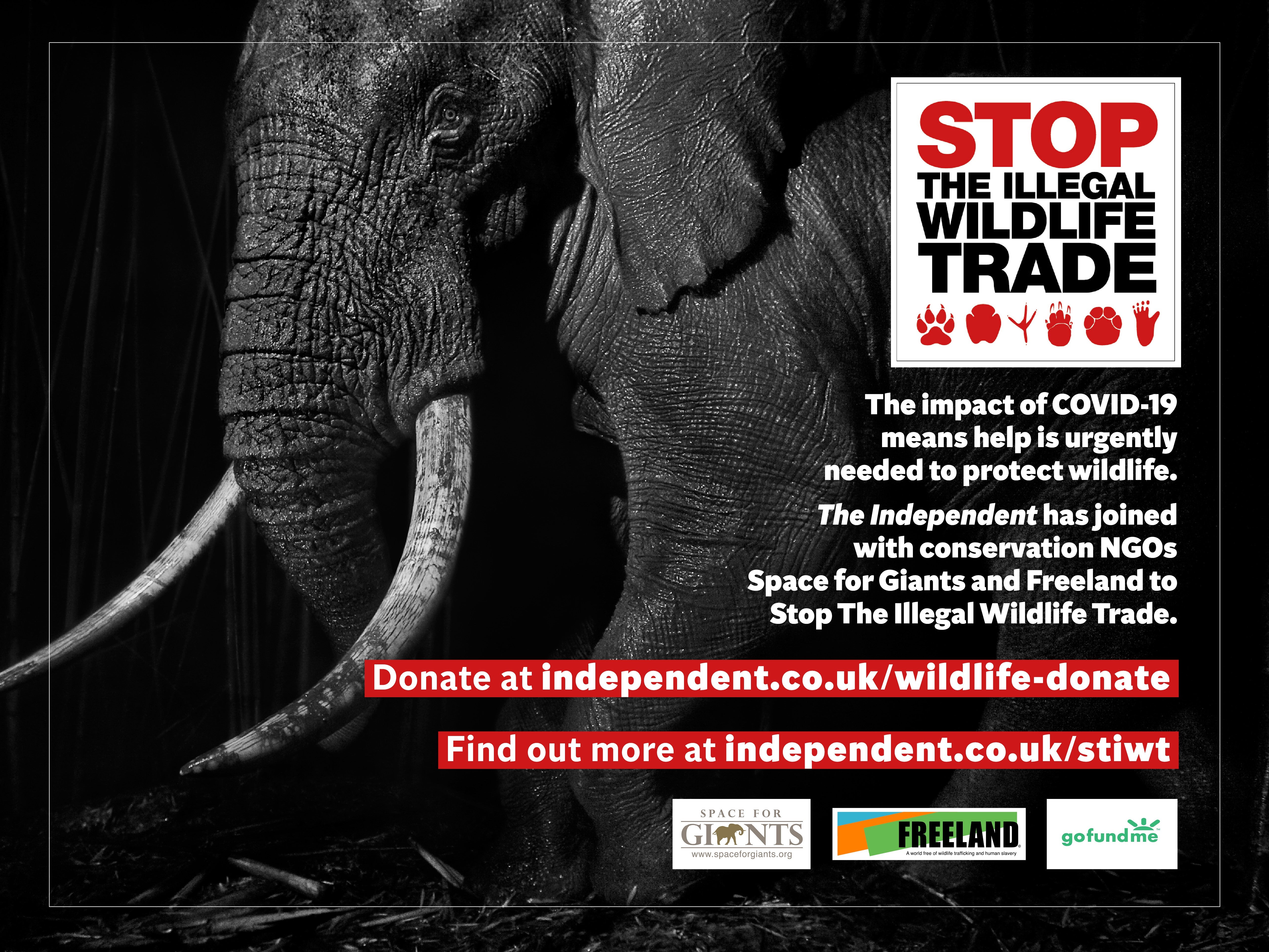 The Independent is working with conservation charity Space for Giants to protect wildlife at risk from poachers due to the conservation funding crisis caused by Covid-19. You can donate HERE