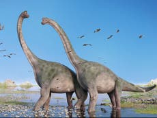 Texas newspaper publishes editorial claiming humans and dinosaurs walked the Earth at the same time