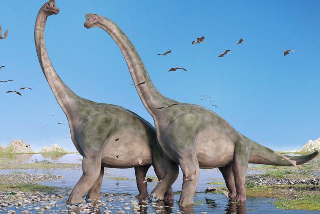 Falling levels of CO2 may have opened up corridors across deserts allowing herbivorous dinosaurs to make epic journeys