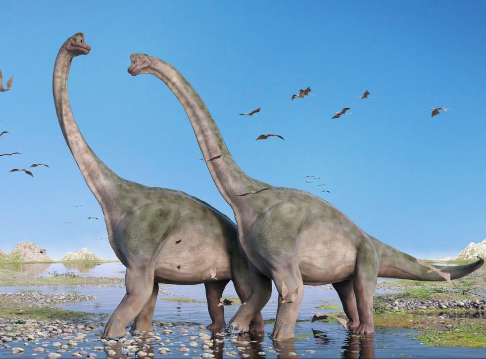 Falling levels of CO2 may have opened up corridors across deserts allowing herbivorous dinosaurs to make epic journeys