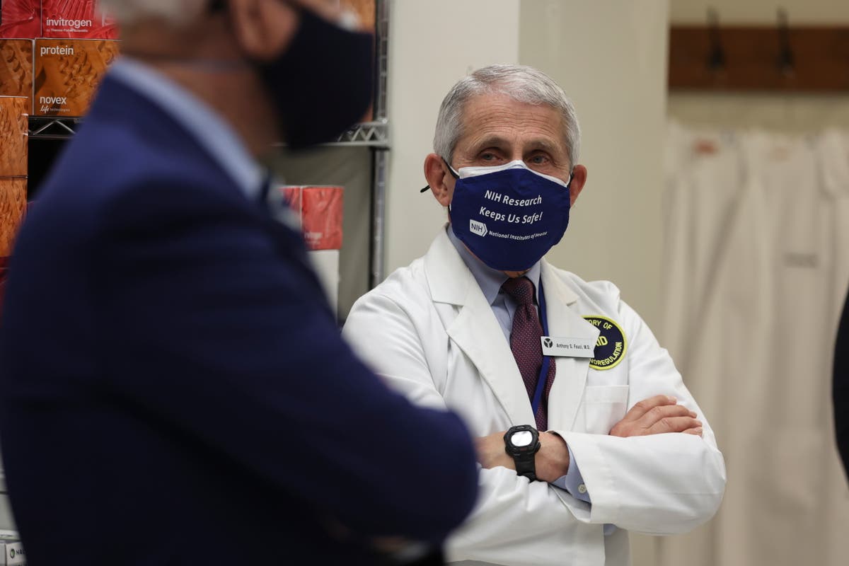 Fauci awarded $1m Israeli prize for public health career and &lsquo;speaking truth to power&rsquo; during pandemic