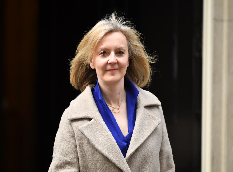 <p>Liz Truss, the equalities minister, was criticised for her ‘ignorant’ approach along with colleague Kemi Badenoch</p>