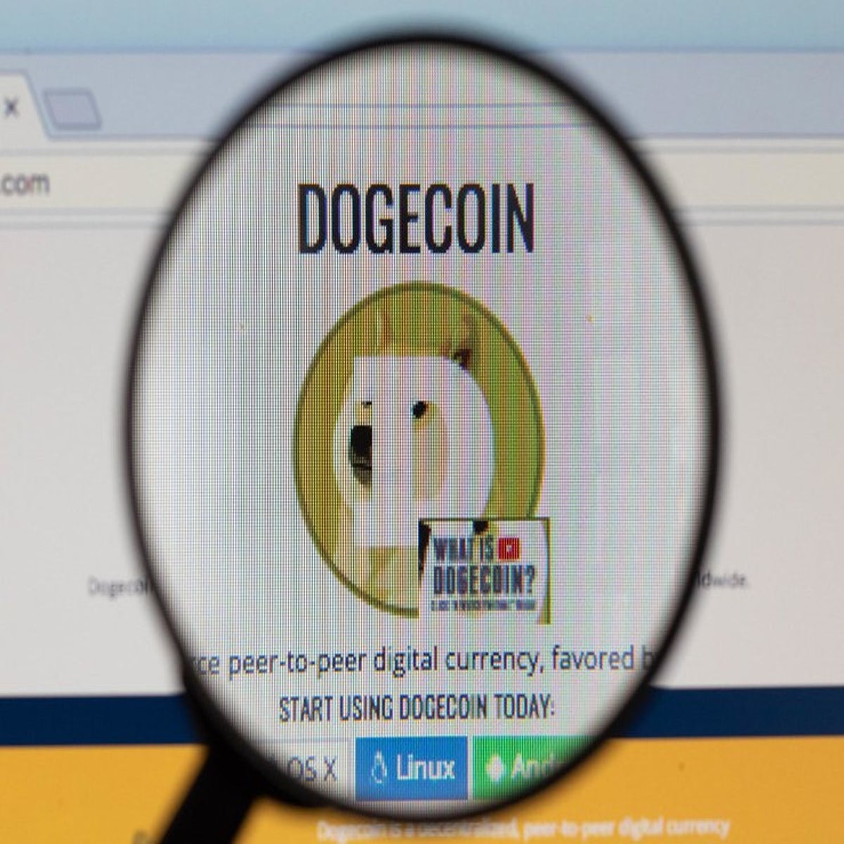 Dogecoin price surges despite Coinbase still not offering trades | The  Independent