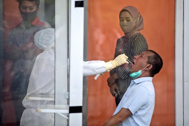 APTOPIX Virus Outbreak Indonesia