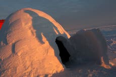 Boy, 7, dies after homemade igloo collapses