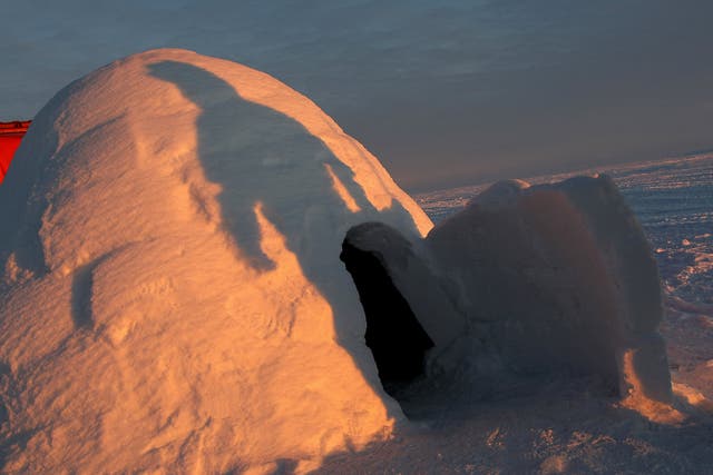Police in the canton of Graubuenden said the collapse had buried the boy and his father under snow (file picture of an igloo in Antarctica)