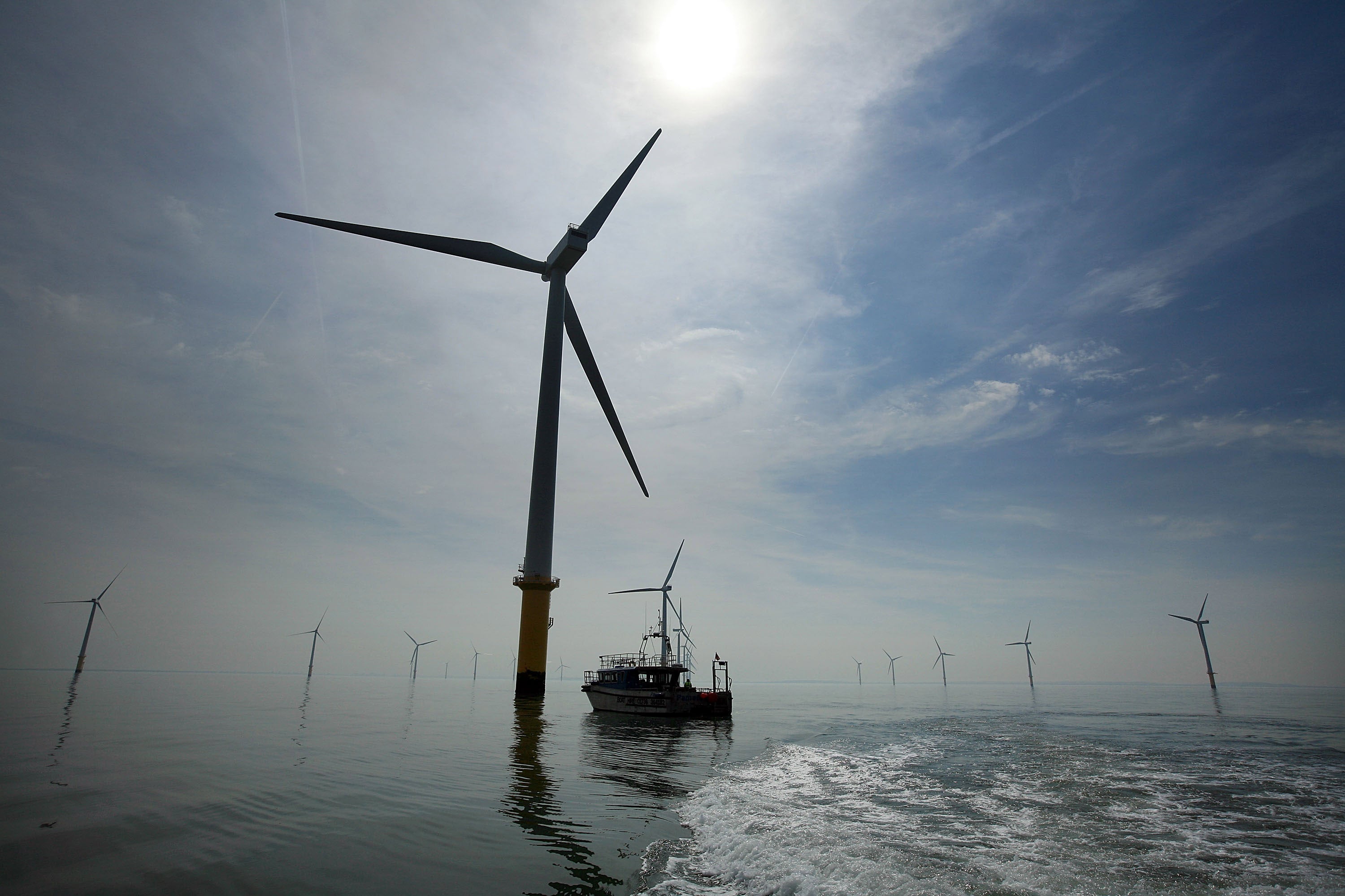 Nearly a quarter of UK’s electricity came from wind turbines in 2020