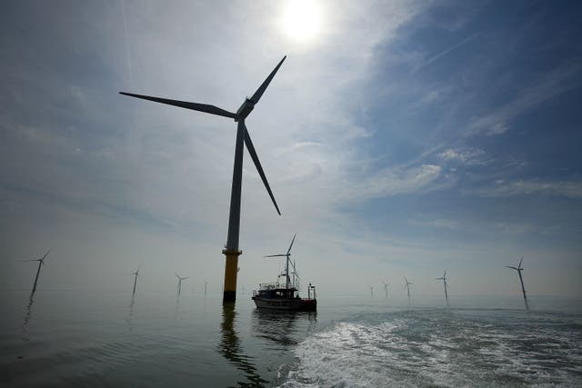 <p>Nearly a quarter of UK’s electricity came from wind turbines in 2020</p>