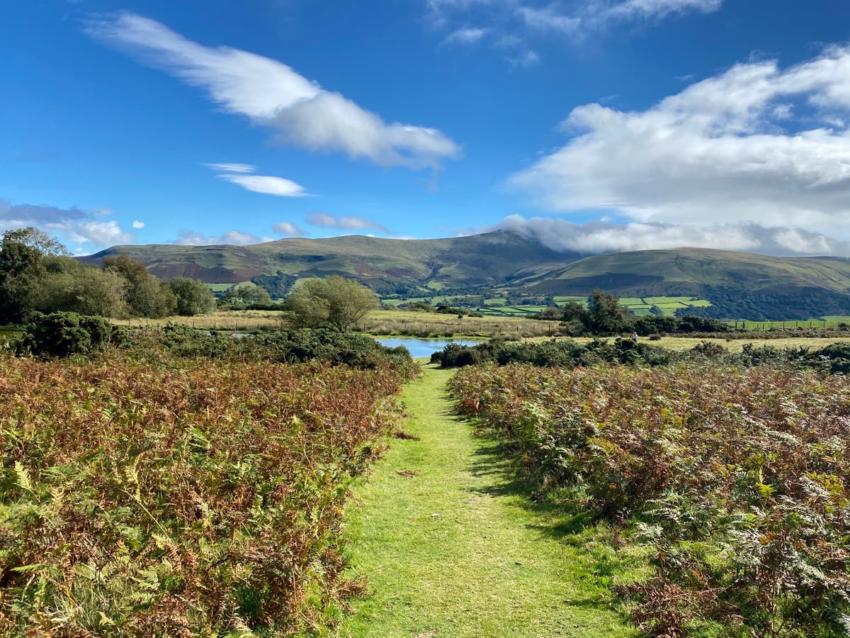 Discovering Sarn Helen, Wales’ ancient Roman way