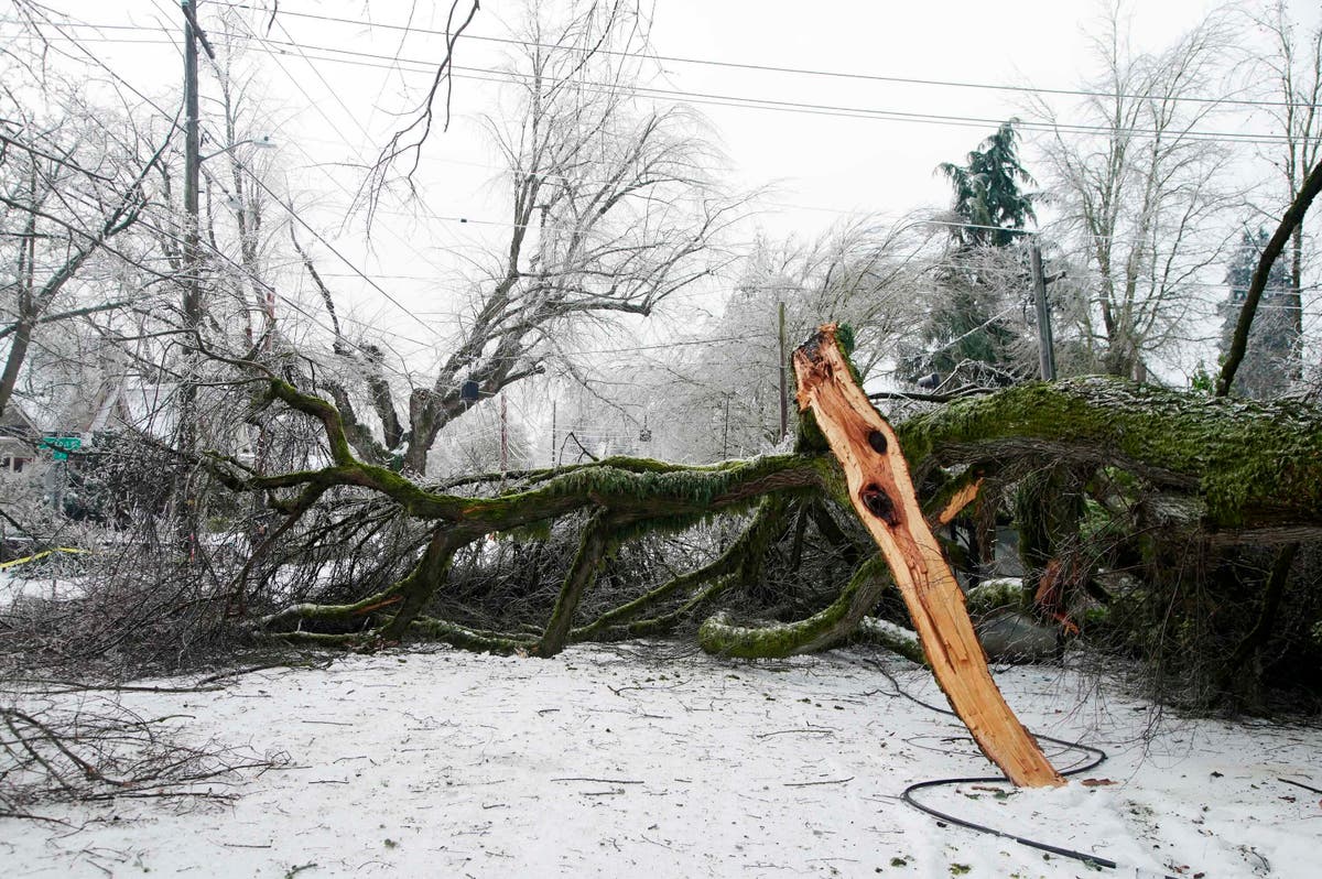 Oregon power outage 'Most dangerous conditions' ever seen Damage power