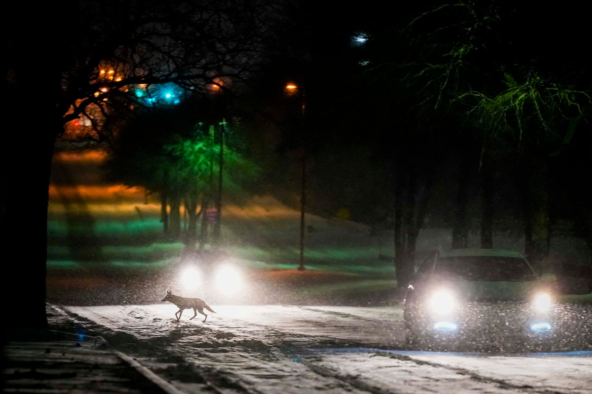 Power outages linger for millions as another icy storm looms Power ...