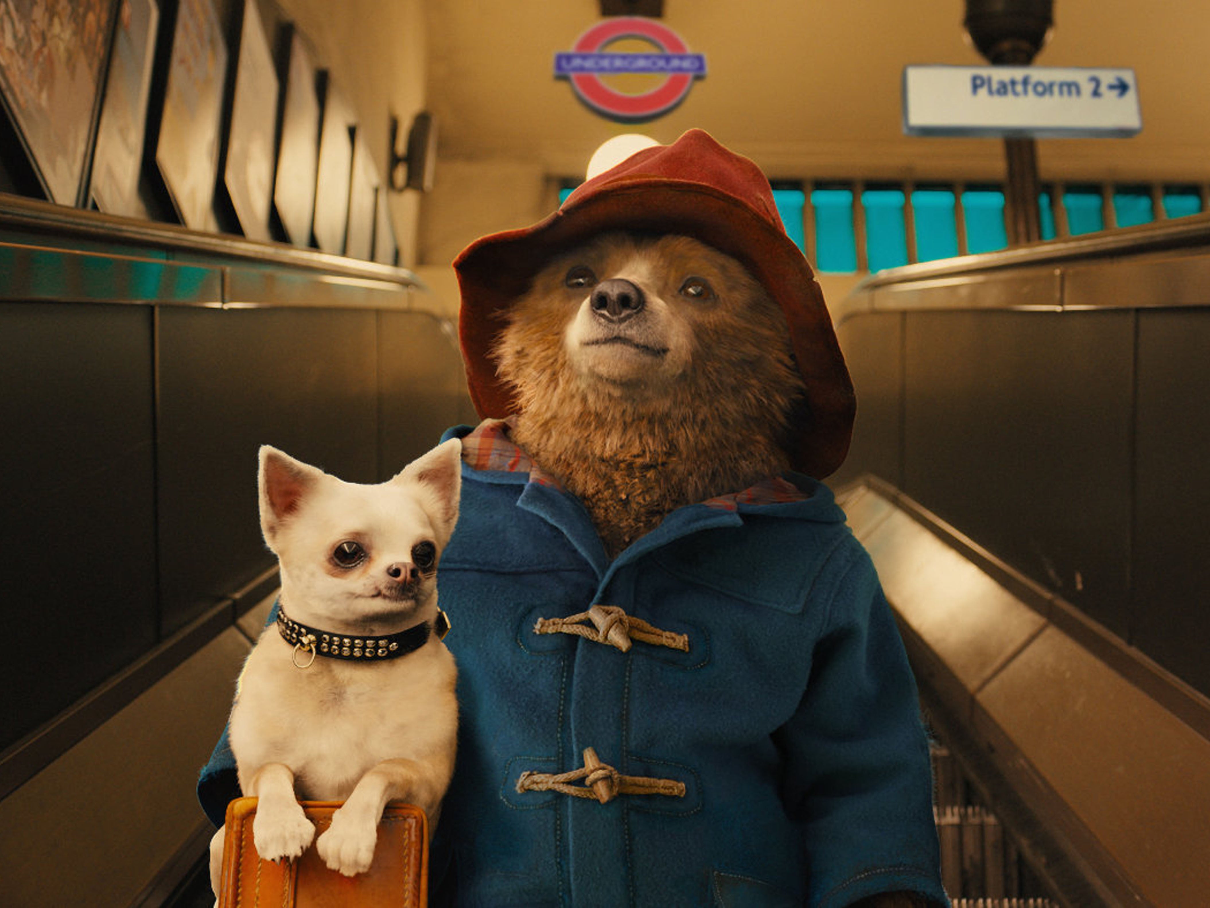 paddington 2 shirt