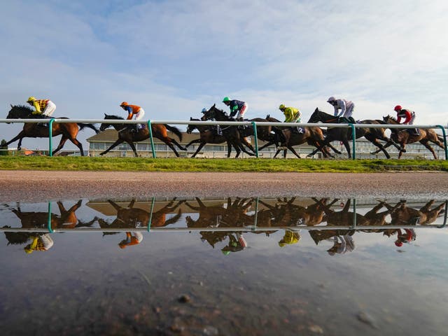 A general view of runners at Lingfield Park Racecourse