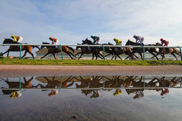 A general view of runners at Lingfield Park Racecourse