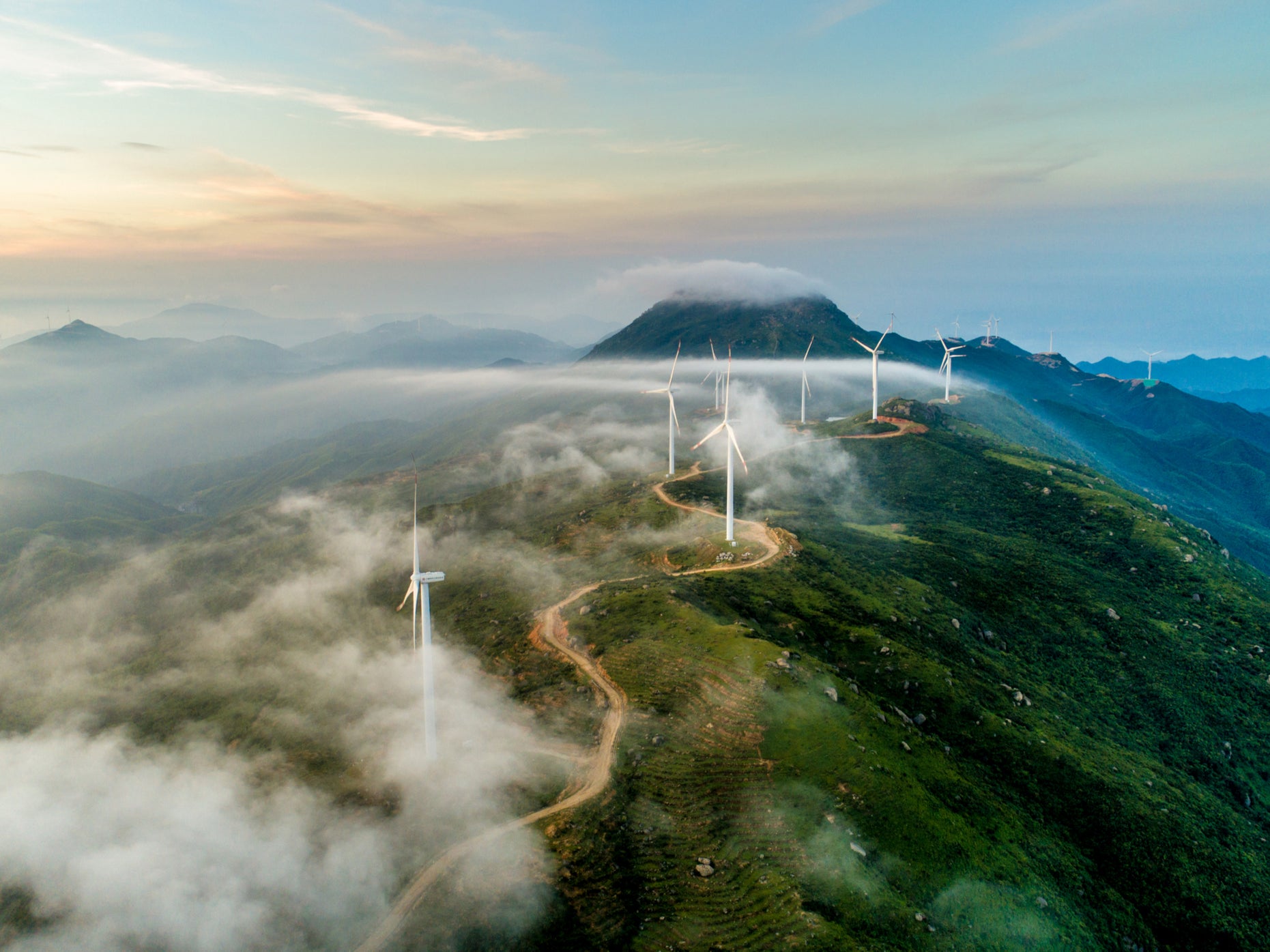 The Independent Climate Newsletter: Sign up for weekly updates on the environmental emergency