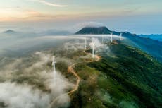 The Independent Climate Newsletter: Sign up for weekly updates on the environmental emergency