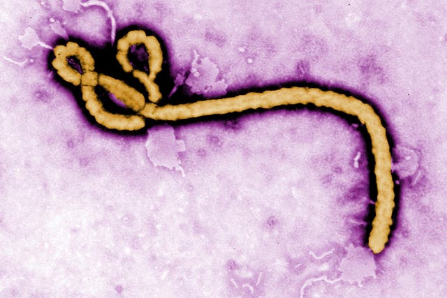 Guinea Ebola