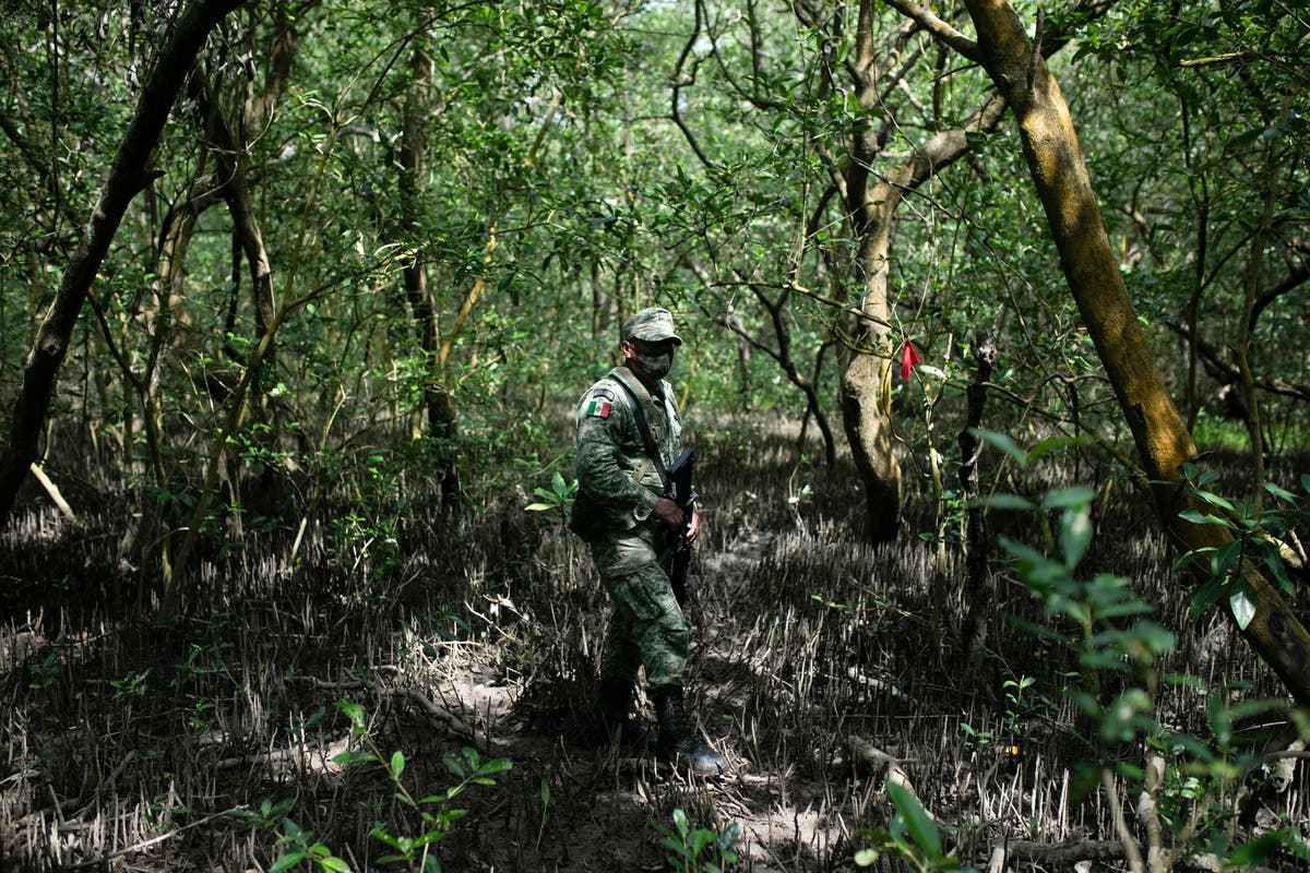 Mexico finds clandestine burial pits in north, Gulf coast