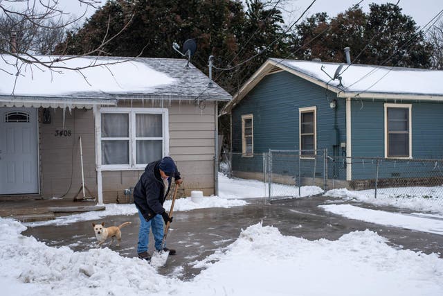 <p>A Waco, Texas, resident clears snow from his driveway alongside his dog on February 17, 2021 as severe winter weather conditions over the last few days has forced road closures and power outages over the state.</p>