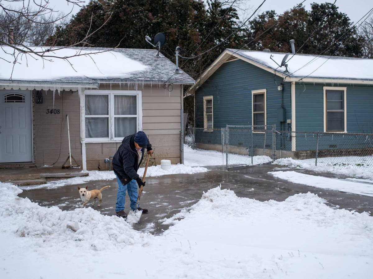 Pets are dying in Texas freeze as owners dump them outdoors in sub-zero temperatures