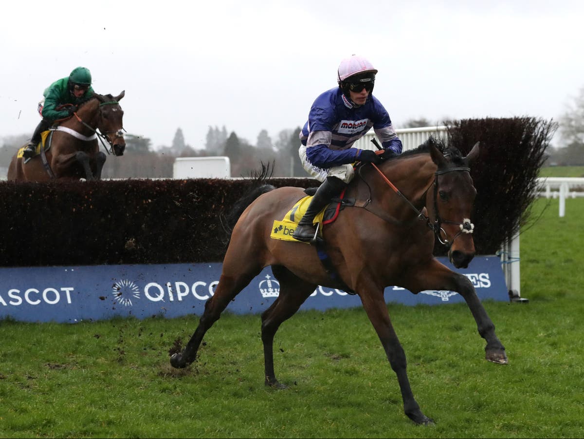 Horse racing tips and best bets: Cyrname the one to beat in Betfair Ascot Chase