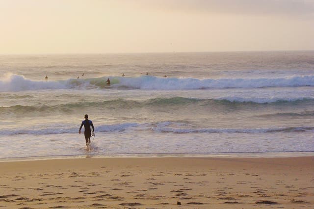 Arriving soon? Surfers at Bondi Beach in Sydney