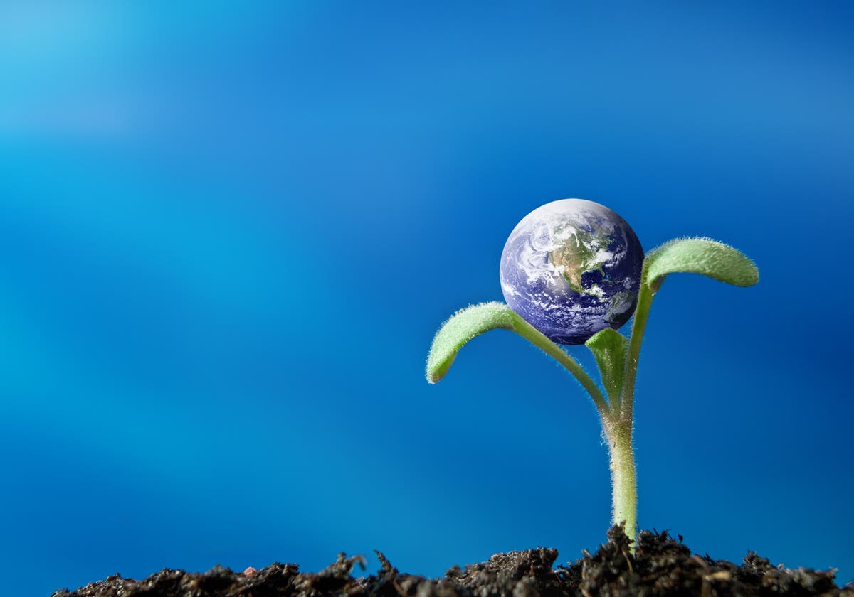 &lsquo;Pandemic isolationism&rsquo; is putting a truly global recovery at risk