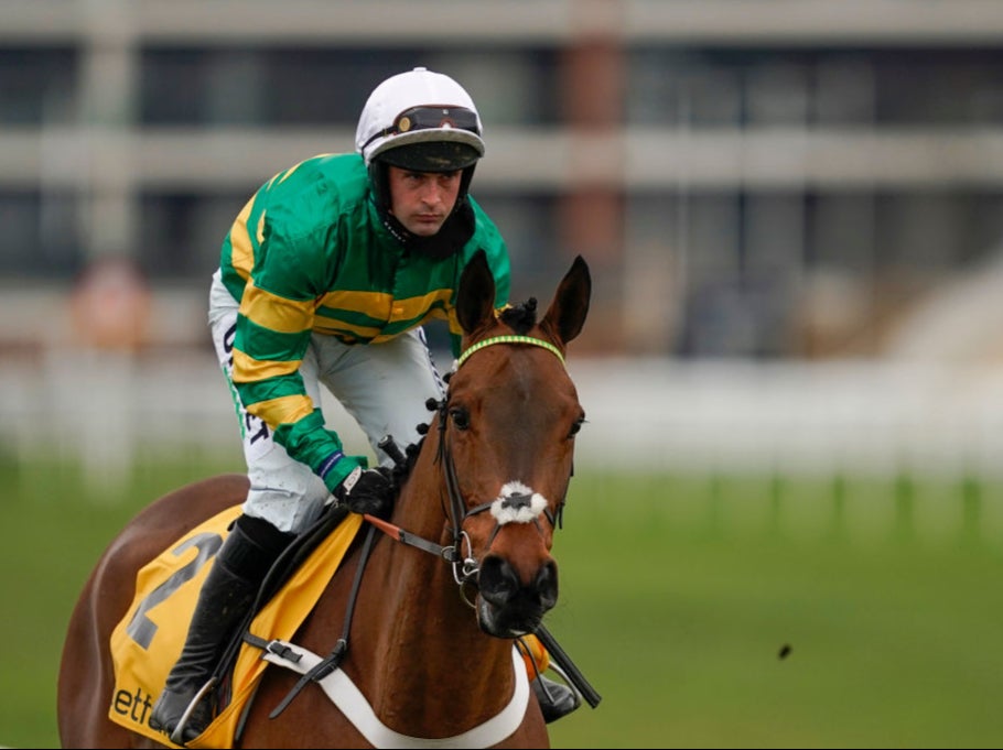 Champ in action at Newbury