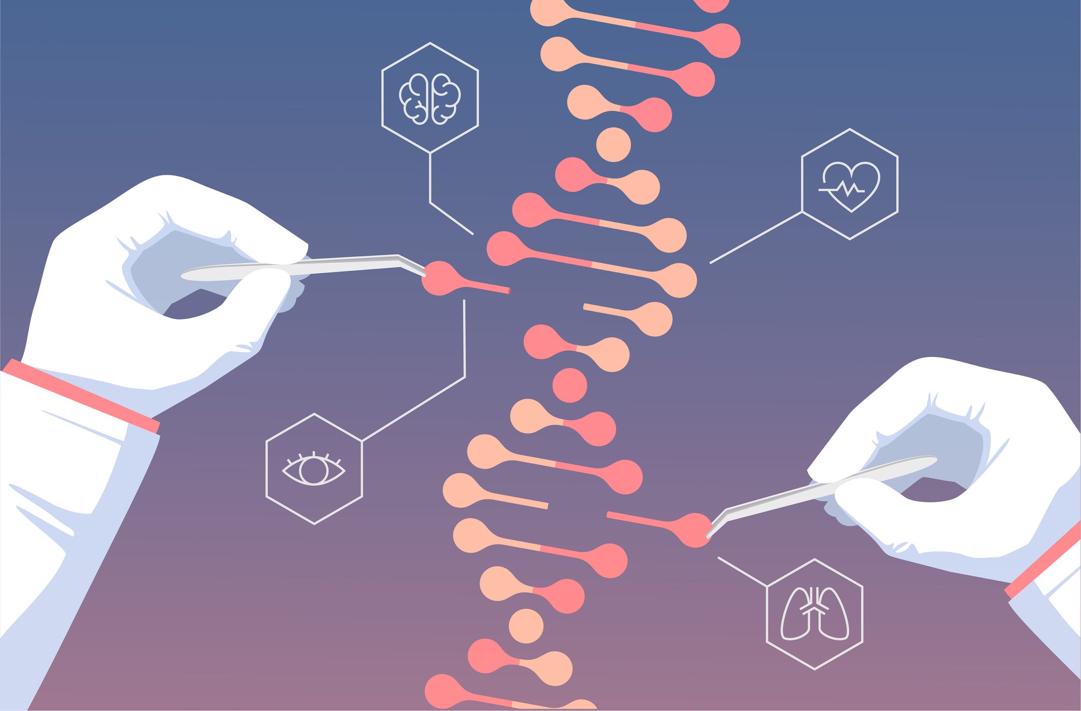 The number of genes in our genome has little to do with our complexity or our difference from other species, as had previously been assumed