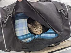 Bomb squad called to defuse bag of kittens left outside church in Ohio