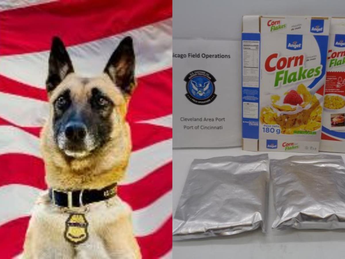 Narcotic detector dog sniffs out cocaine covered cornflakes in Ohio