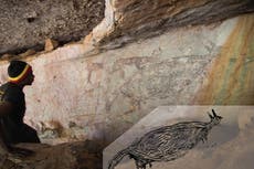 Ancient wasp nests show Australia’s oldest rock painting is 17,000-year old kangaroo image