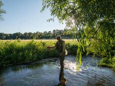 Nearly a third of freshwater fish worldwide face extinction, report warns