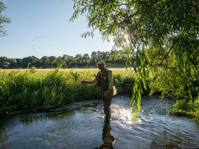 <p>A fly fisherman in the river Darent: Of the world’s 224 chalk streams, 161 are in the UK. These are under threat from increasing water demand </p>