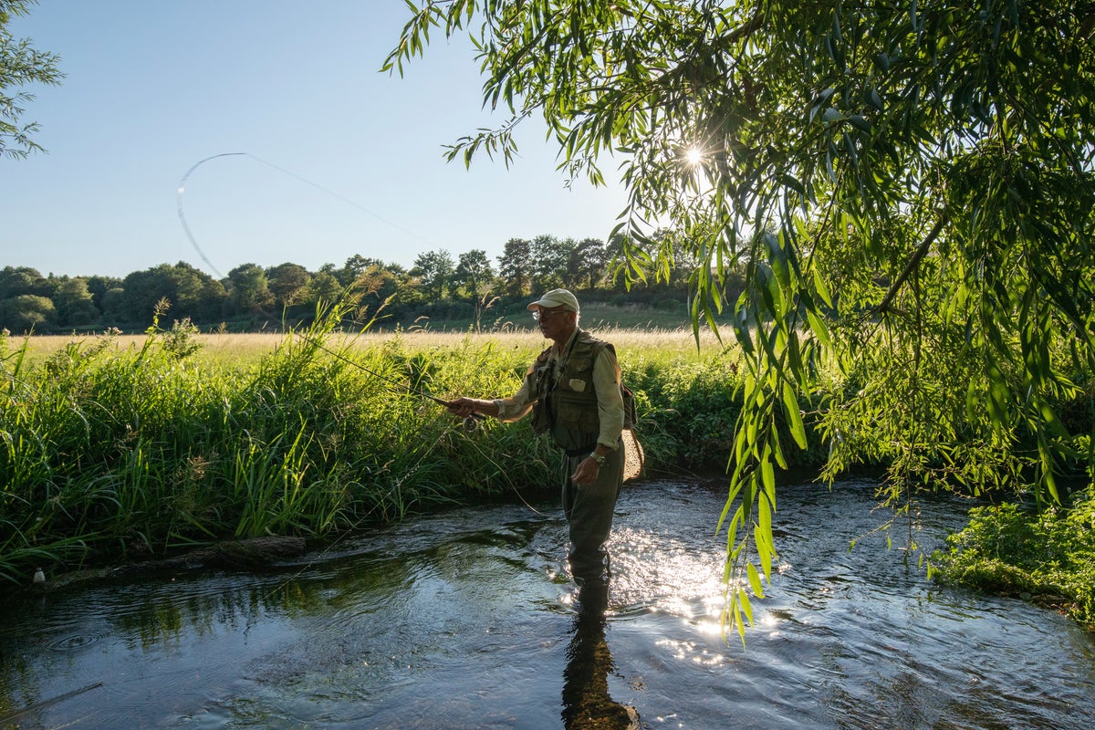 Nearly a third of freshwater fish worldwide face extinction, report ...