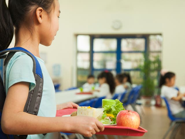 <p>The mayor of Lyon has been accused of risking children’s health after deciding to remove meat from school menus, in order to streamline lunch time services amid the coronavirus pandemic</p>