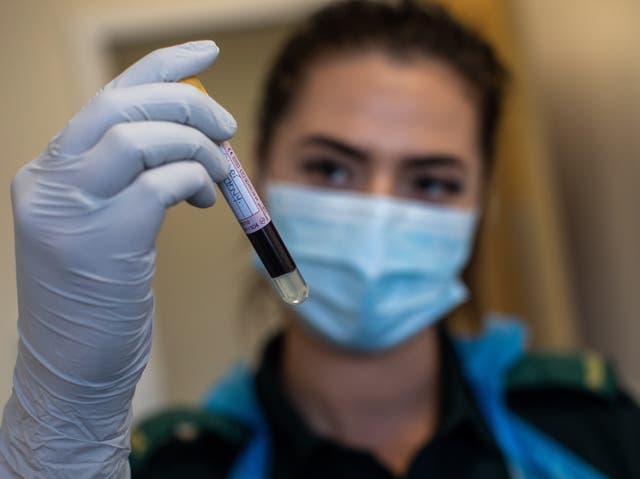 <p>Researchers studying blood samples found a genetic tendency in patients with progressive CLL</p>