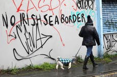The reality of a Brexit border in the Irish Sea is ‘not a small point of detail’