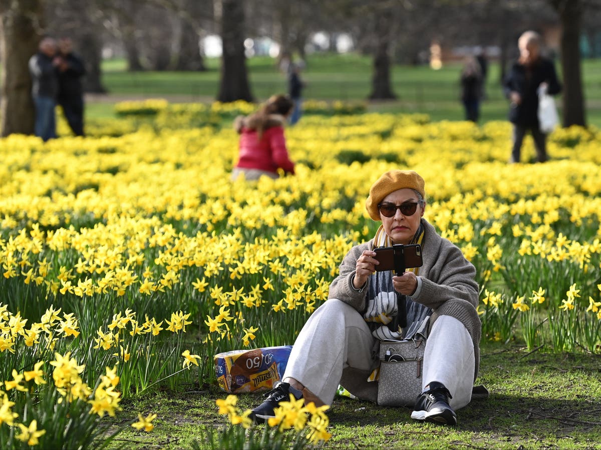 UK weather: This week to feel &lsquo;as warm as May&rsquo;