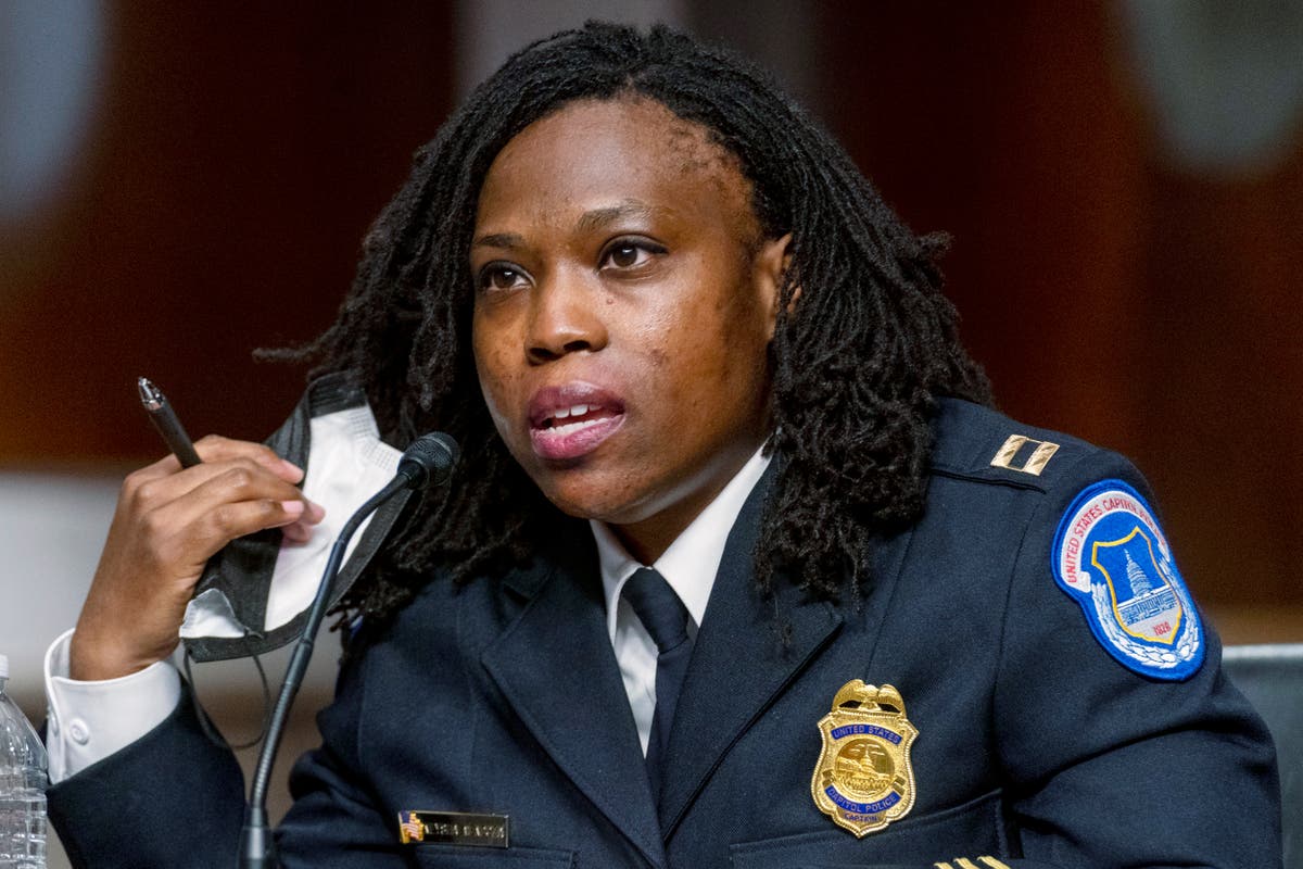 Capitol Senate Hearing: Police Captain Offers New and Terrible Insurrection Details
