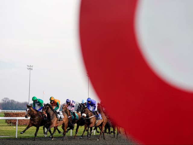 A general view of Kempton racecourse