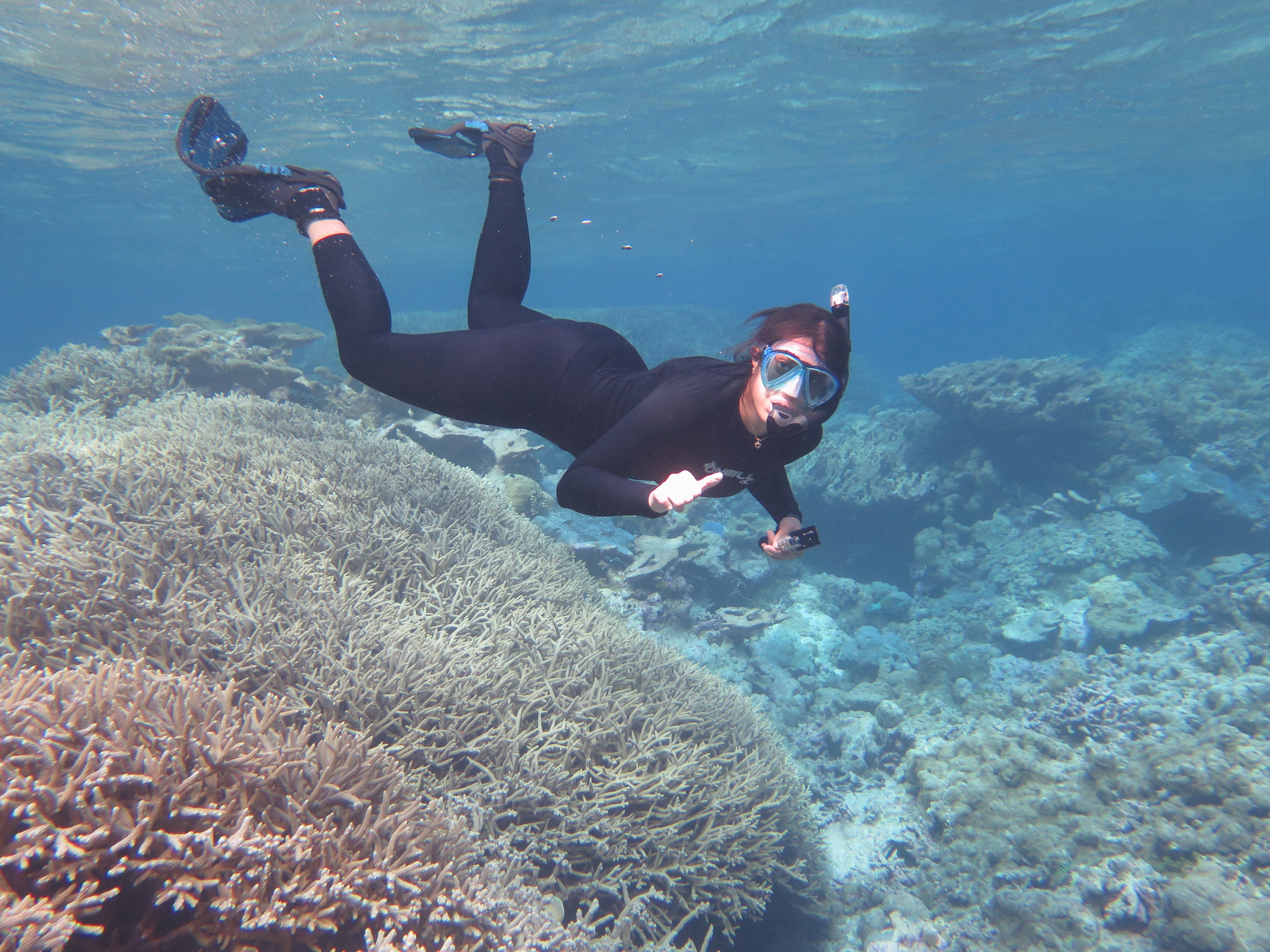 Adi Khen, a graduate student studying corals, snorkels in one of Palmyra Atoll’s vibrant reefs.