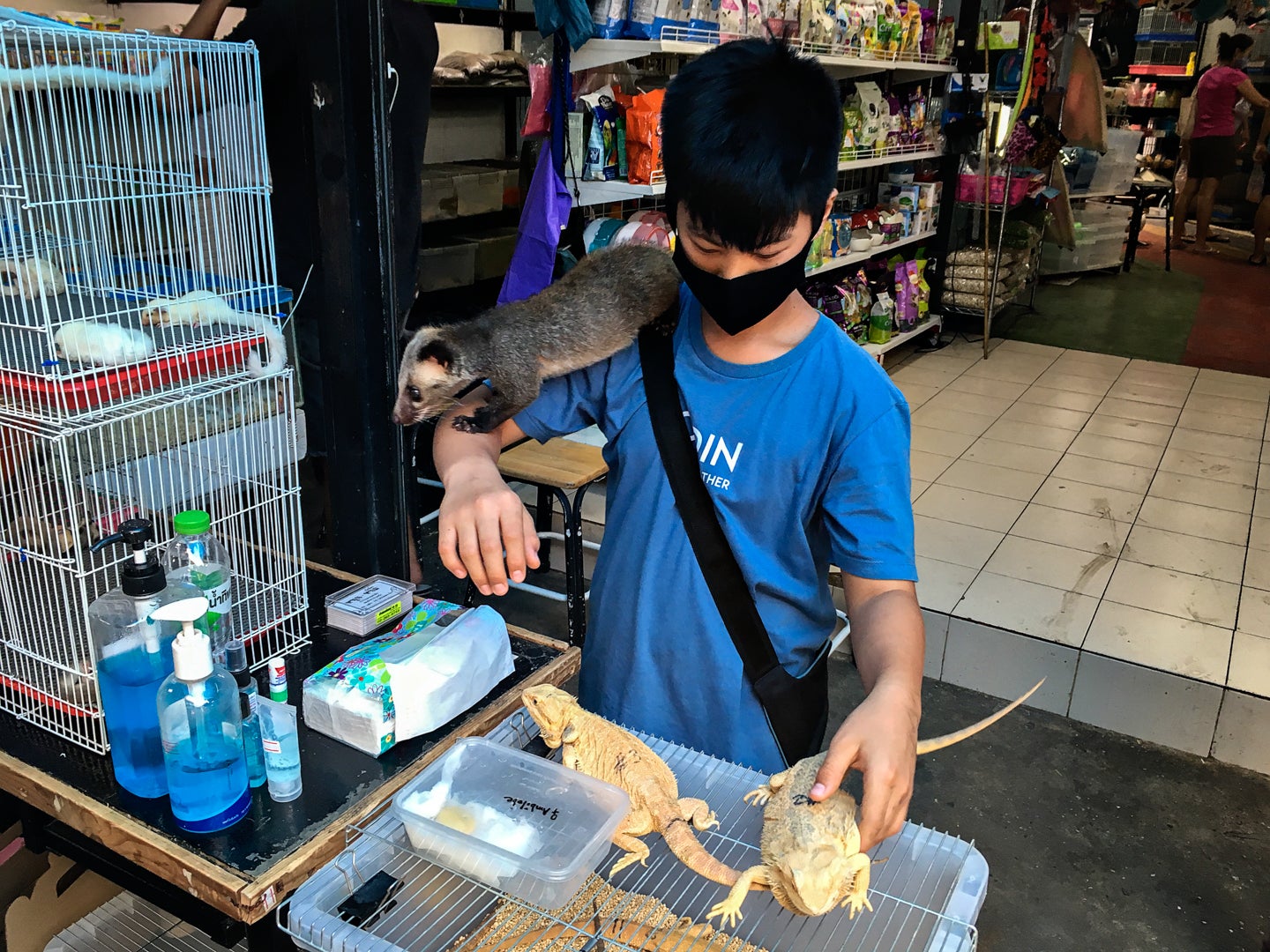 A teenager with iquanas, badger and other animals in Chatuchak market, Bangkok
