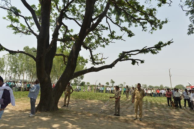 <p>Indian police keep watch at the tree where the bodies of the victims were found hanging, in Budaun district, Uttar Pradesh</p>