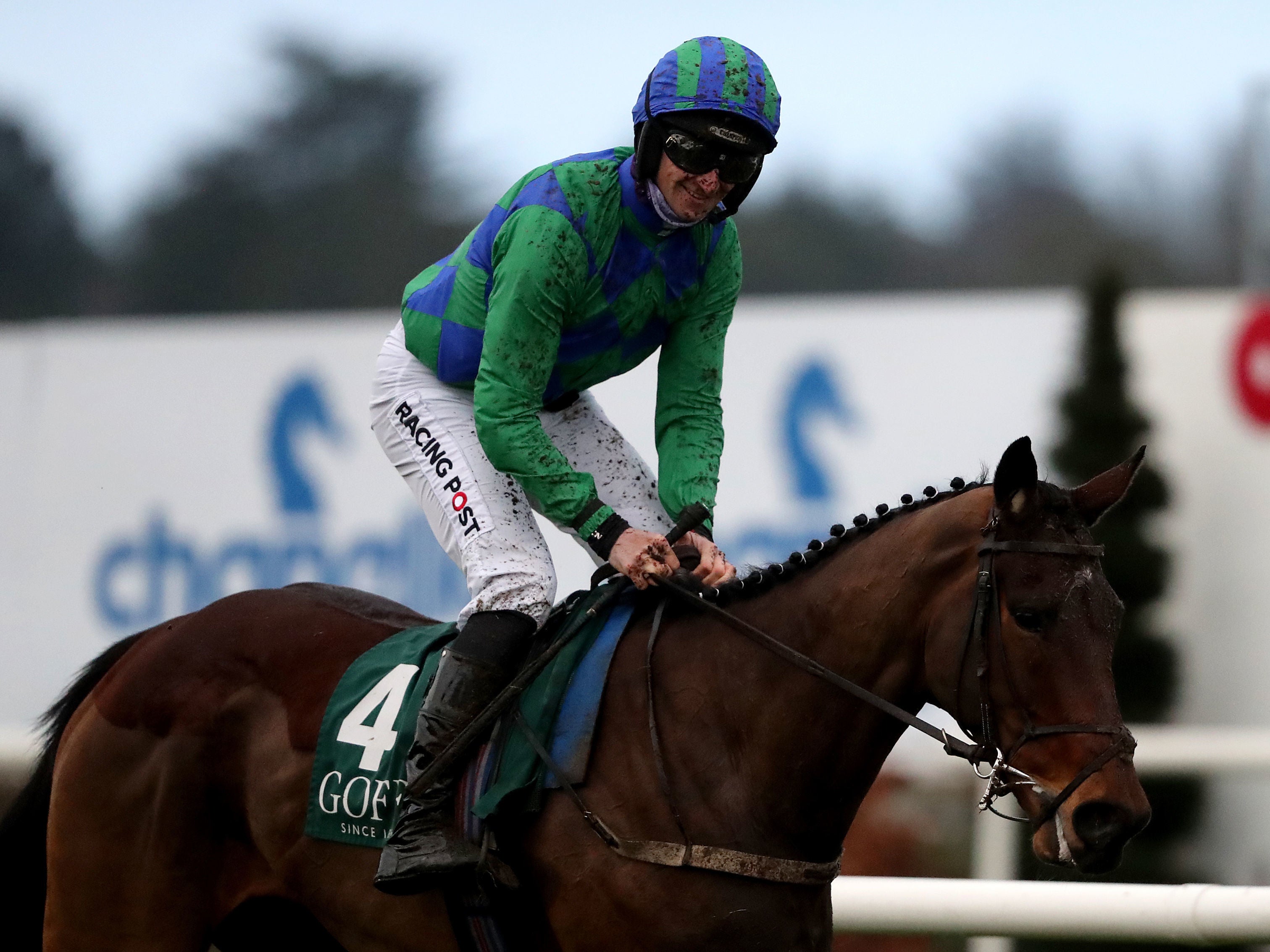 Patrick Mullins could turn professional for Cheltenham Festival after ruling on amateurs The Independent image