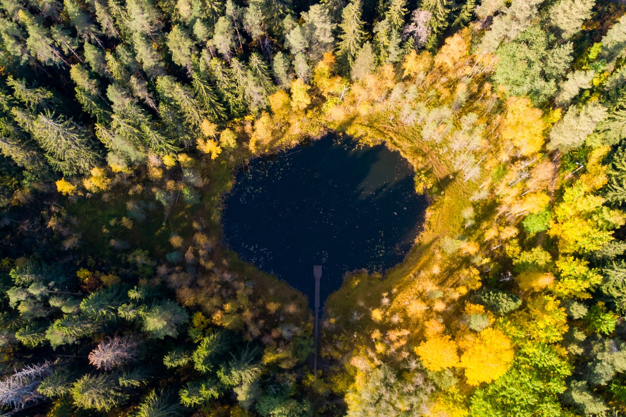 Lahti is green in more ways than one