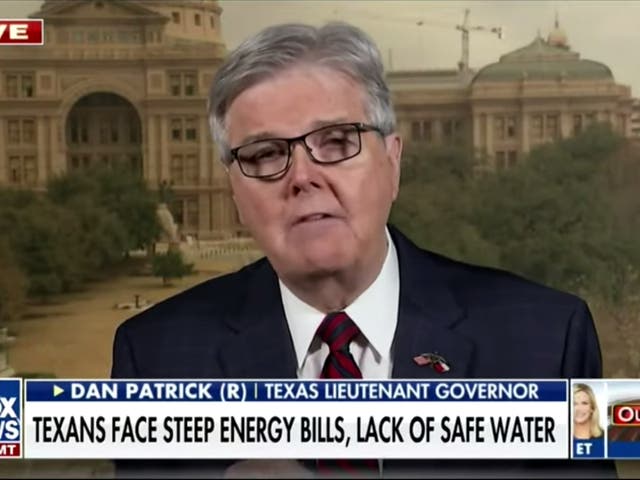 <p>Texas lieutenant governor Dan Patrick </p>