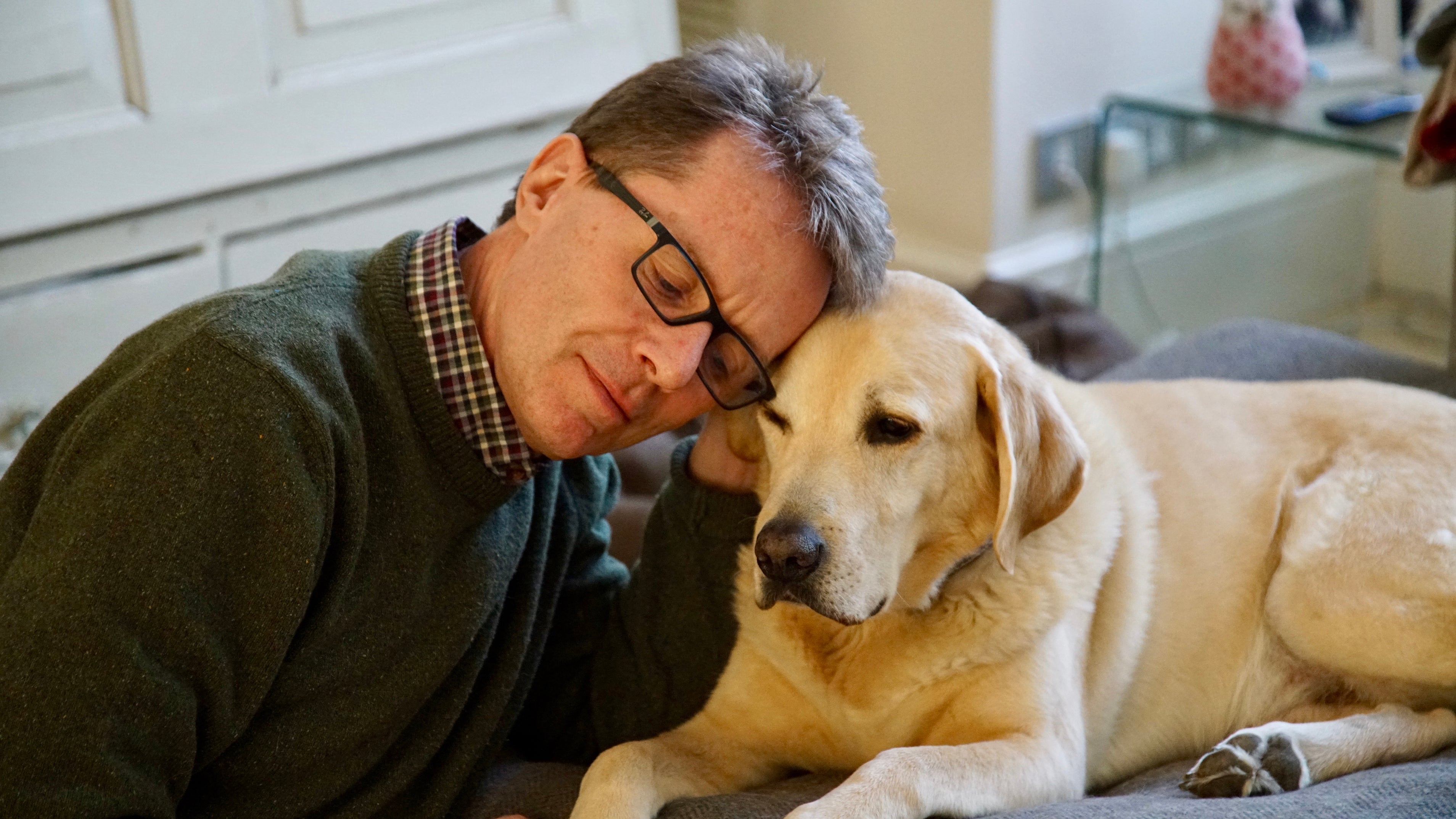 Nicky Campbell and his Labrador Maxwell (Nicky Campbell/PA)